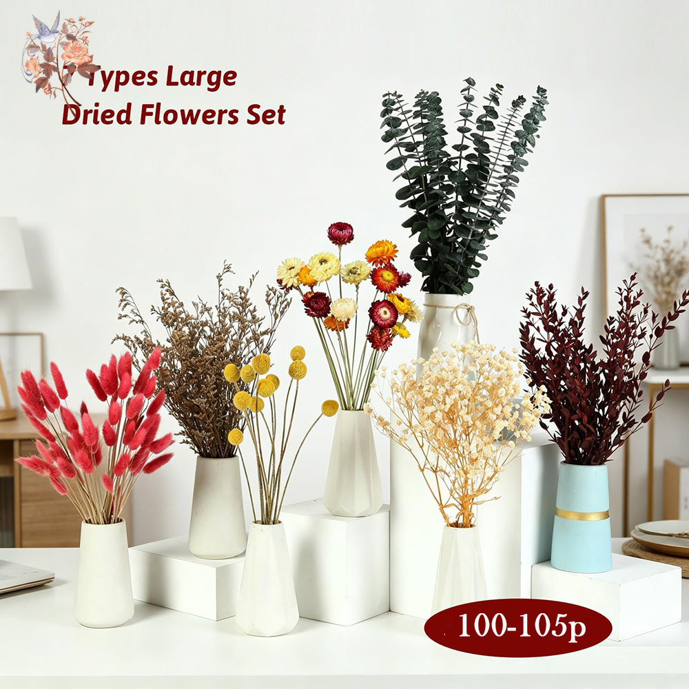 مجموعة كبيرة من الزهور المجففة - مراجعة Dried Flower Bulk وسعره