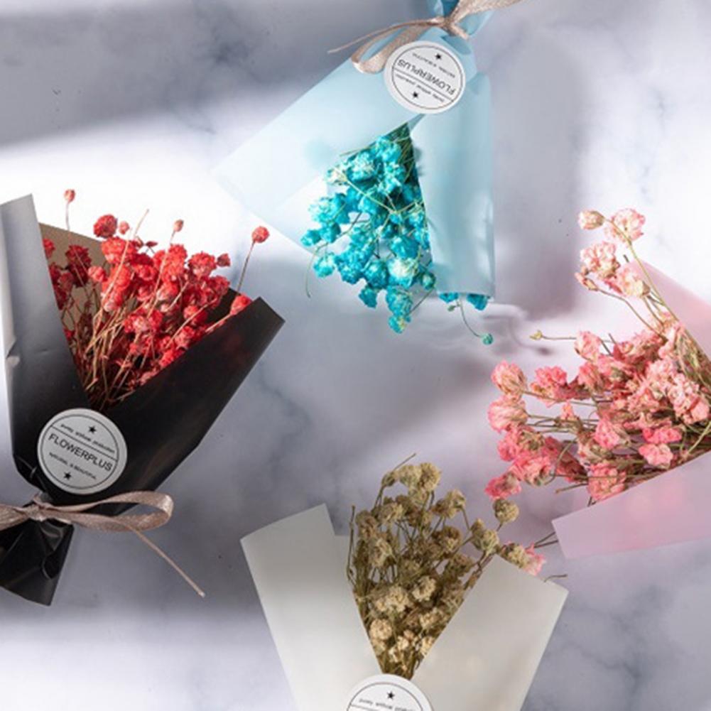 باقة جيبسوفيلا صناعية ، بانيكو - مراجعة Dried Flower Bulk وسعره