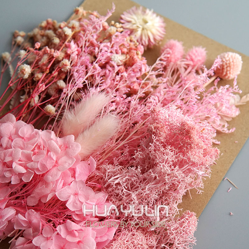 1 حزمة النباتات الاصطناعية الم - مراجعة Dried Flower Bulk وسعره