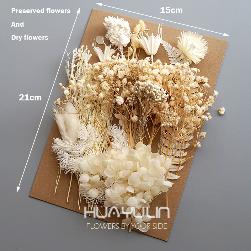 1 حزمة النباتات الاصطناعية الم - مراجعة Dried Flower Bulk وسعره